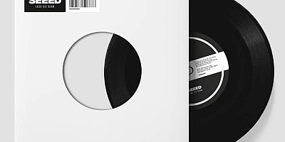 LASS SIE GEHN von SEEED auf 7" Vinyl. (c) Warner Music